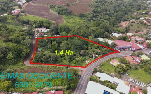 Commercial Farm For Sale , Grecia Costa Rica –