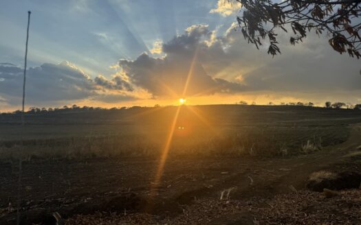 Farm For Sale Grecia Alajuela Costa Rica –