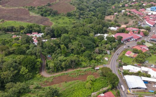 Commercial Farm For Sale , Grecia Costa Rica –