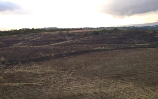 Farm For Sale Grecia Alajuela Costa Rica –