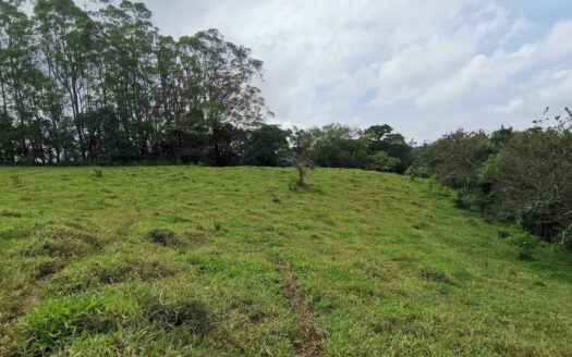 Finca El Monte for sale, Cirri, Naranjo –