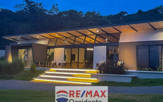 LUXURY NEW FURNISHED HOUSE FOR SALE IN PALMARES. –