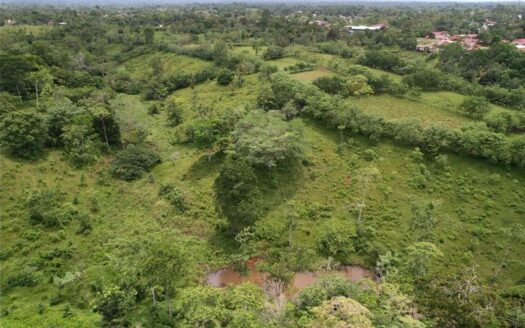 Estate for sale, Santa Rosa de Pocosol, San Carlos –