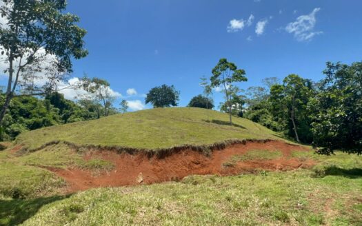 120-Hectare Farm for Sale – San Joaquín de Cutris, San Carlos, Costa Rica –