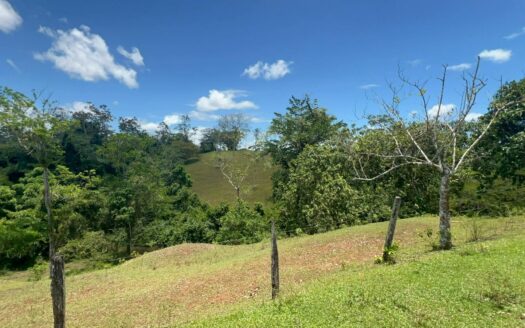120-Hectare Farm for Sale – San Joaquín de Cutris, San Carlos, Costa Rica –