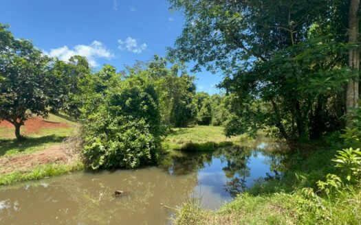 120-Hectare Farm for Sale – San Joaquín de Cutris, San Carlos, Costa Rica –