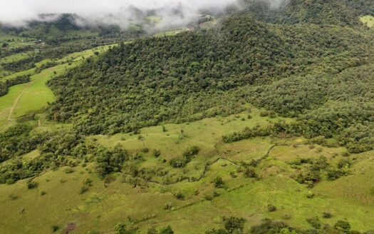 Valverde Vega Sarchí