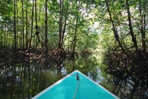 National Geographic Ranked Costa Rica the Best Latin American Destination