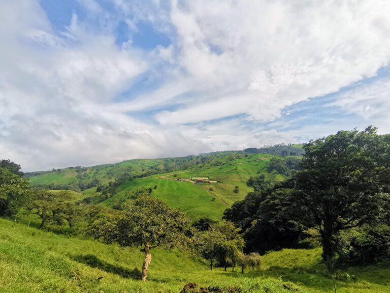 Farm for sale, San Luis, Zarcero