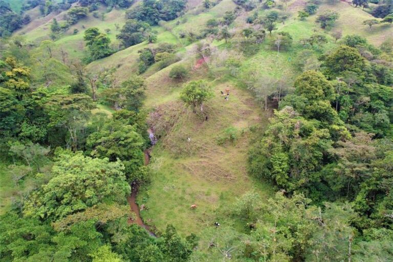 Farm for sale, San Luis, Zarcero