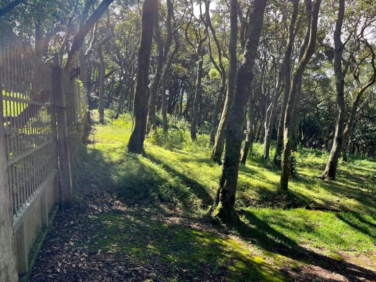 Costa Rica Lot/Land #400271663115