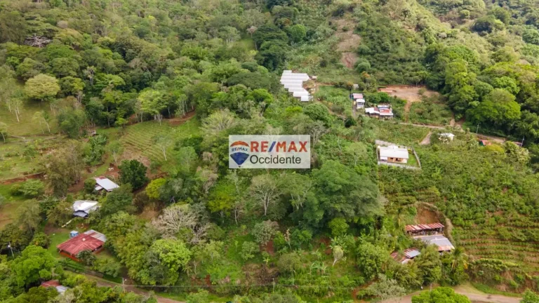 Costa Rica Lot/Land #400273115018