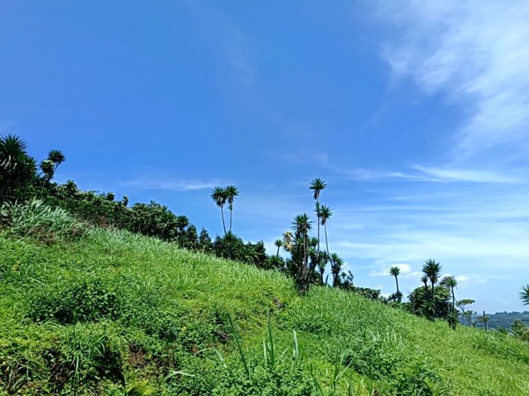 Land For Sale, Trojas, Sarchí.
