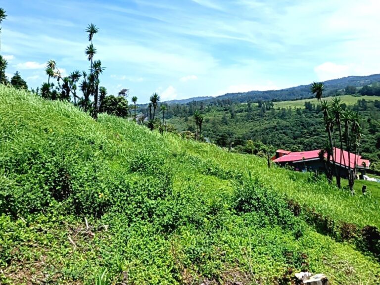 Land For Sale, Trojas, Sarchí.
