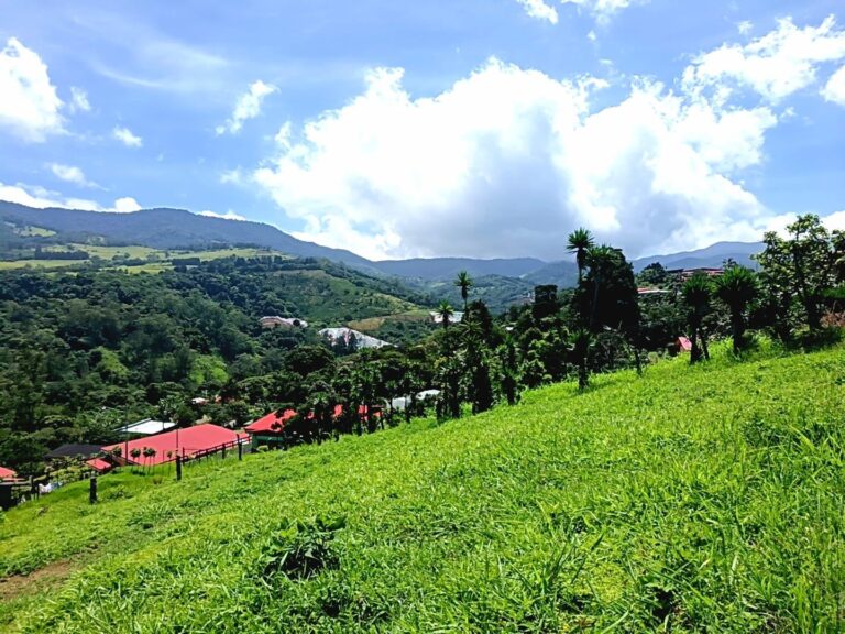 Land For Sale, Trojas, Sarchí.