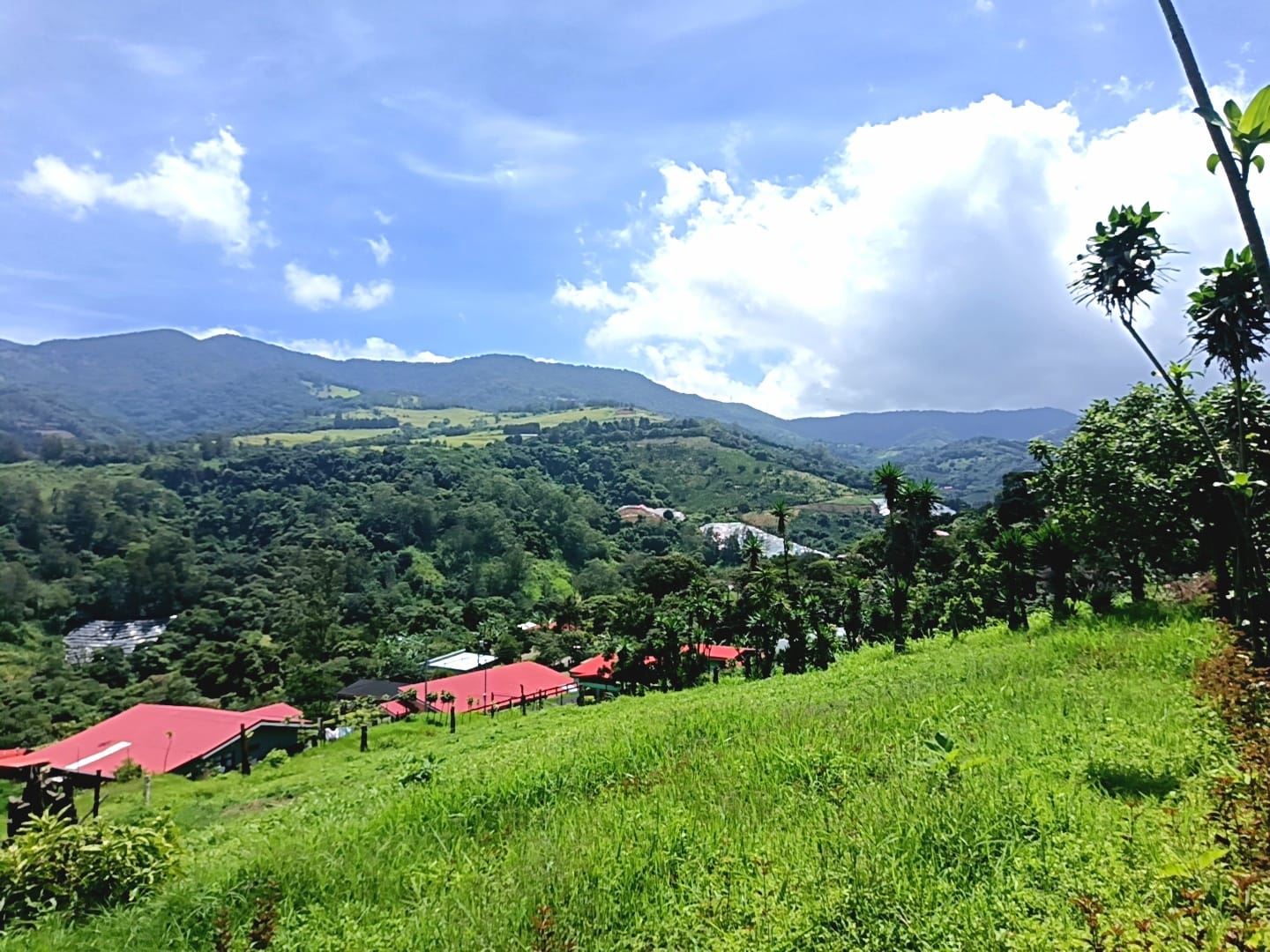 Land For Sale, Trojas, Sarchí.