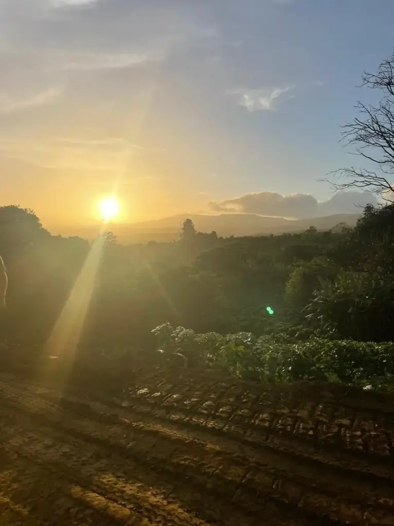 Costa Rica Lot/Land #400272631002