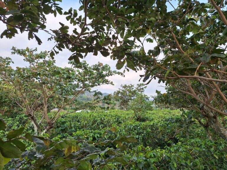 Costa Rica Lot/Land #400273115026