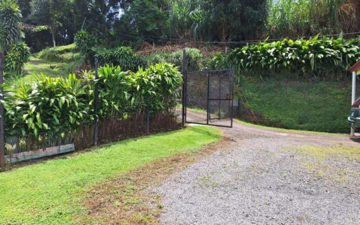 House with Beautiful Garden for Sale Grecia, Alajuela –