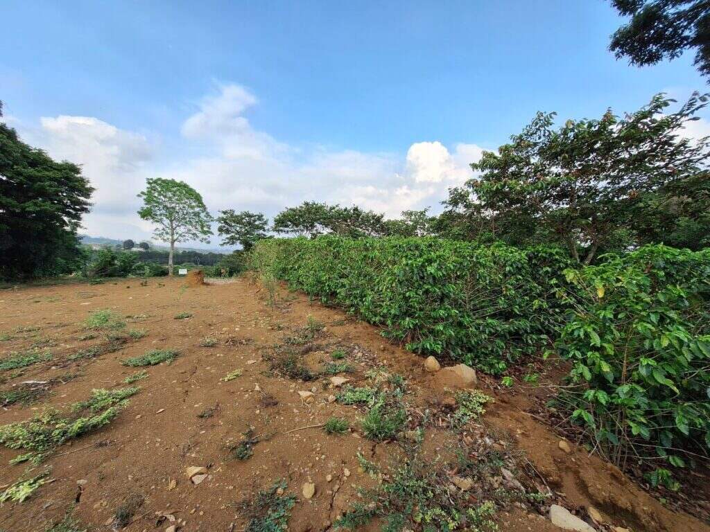 Beatiful land for sale Calle Rodriguez, Grecia –