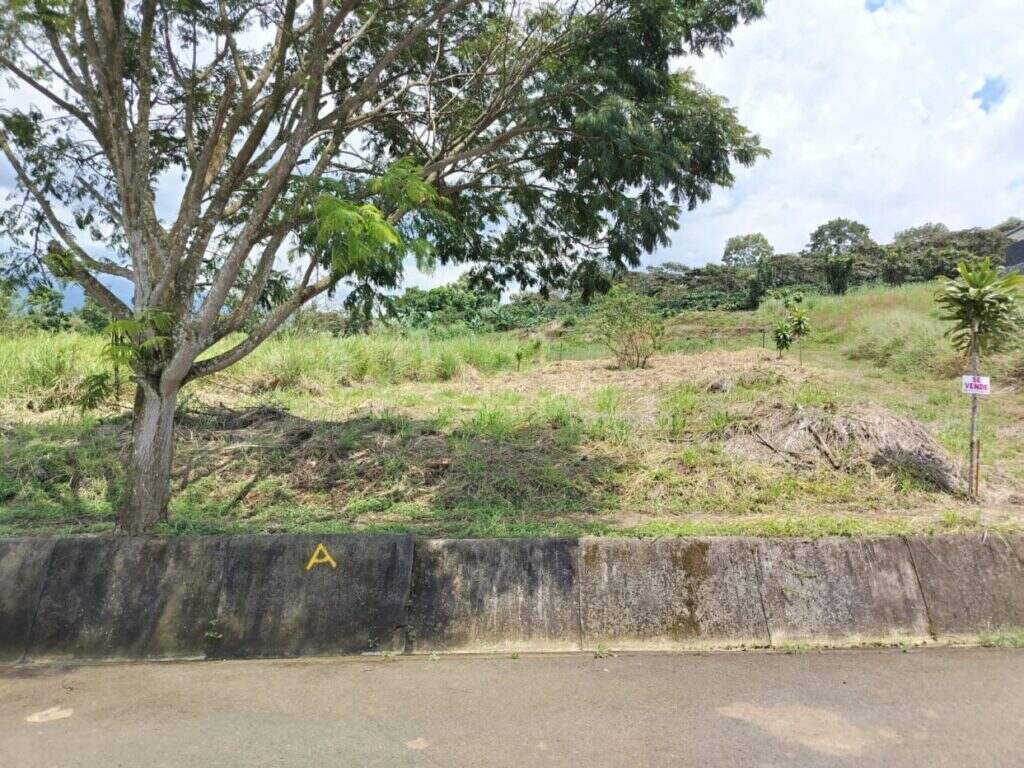Lot for Sale in Grecia –