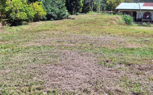 Beautiful land for sale Poas, Alajuela –