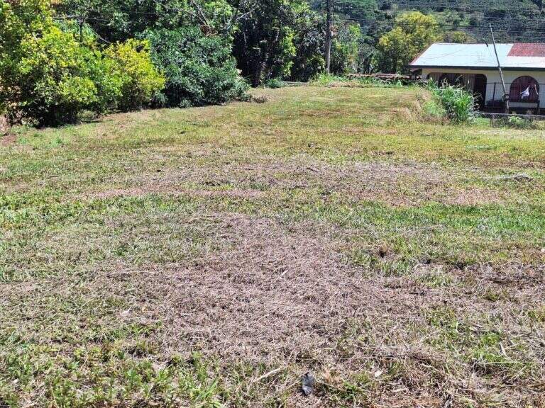 Costa Rica Lot/Land #400273115030