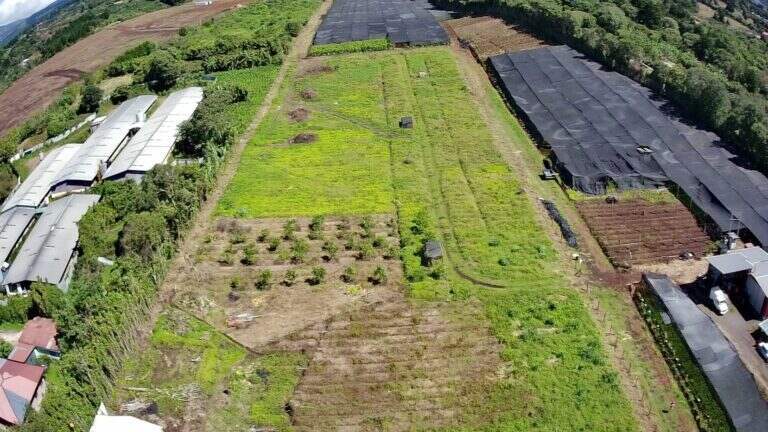 Costa Rica Lot/Land #400272631001