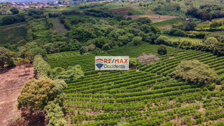 Costa Rica Lot/Land #400273115017