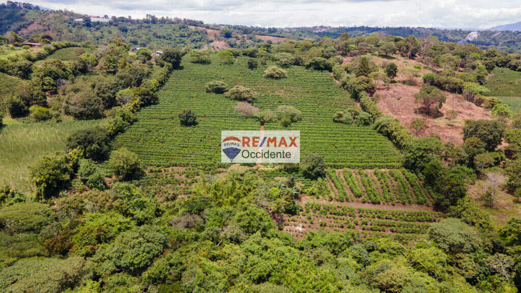 Farm to sale, Poas Alajuela –
