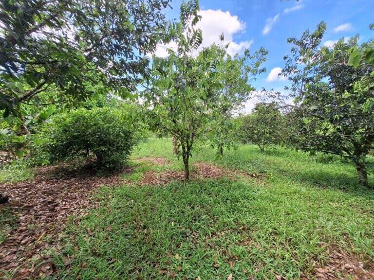 Costa Rica Lot/Land #400273115023