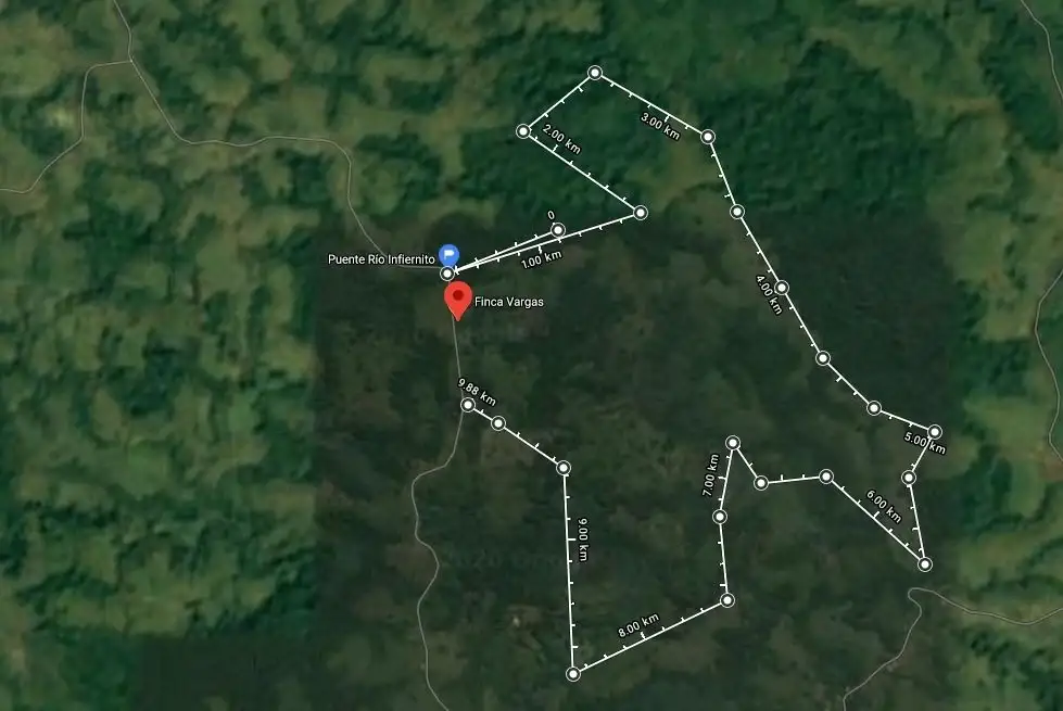 120-Hectare Farm for Sale – San Joaquín de Cutris, San Carlos, Costa Rica –