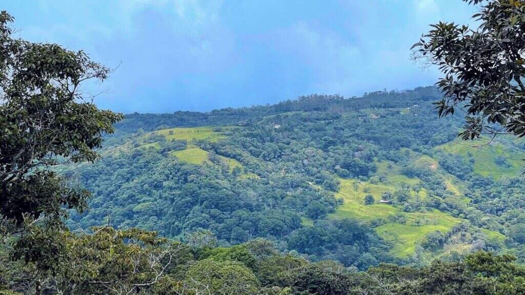 LOT FOR SALE IN SAN PEDRO, SAN RAMON. –