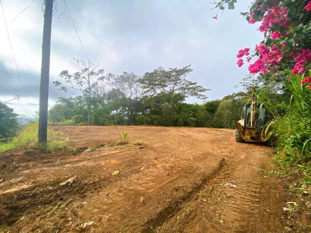 LOT FOR SALE IN SANTIAGO SAN RAMON –
