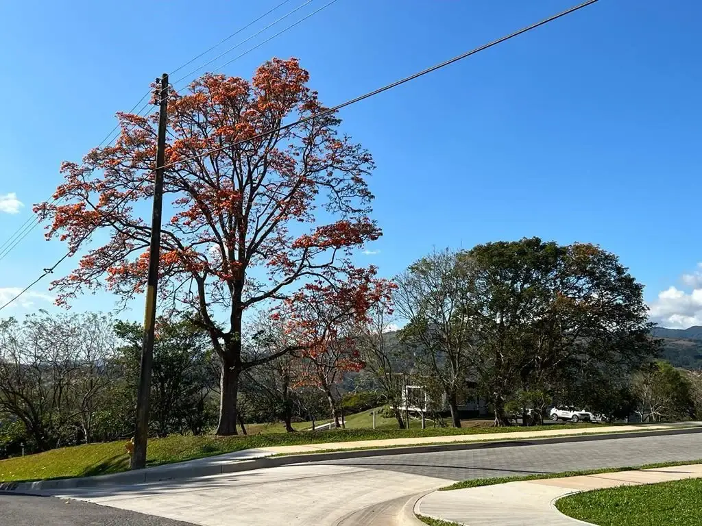 FOR SALE! Ocean view 1.2 Acre lots in San Ramón, Alajuela –
