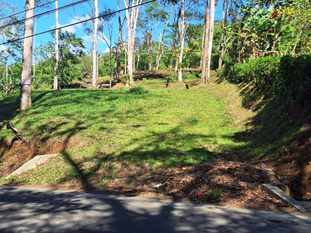 Land for sale, Bajo Rodriguez San Ramon –