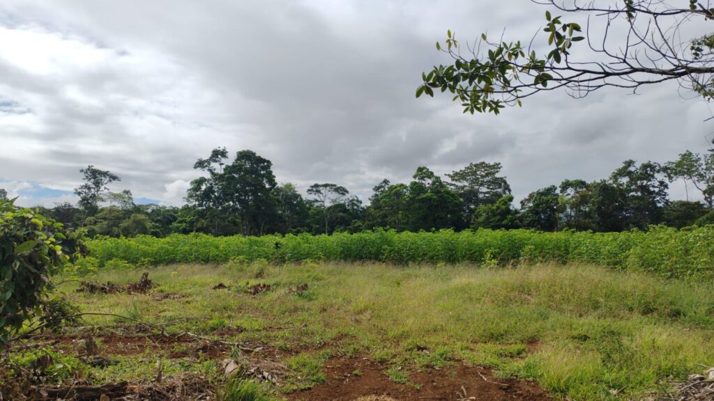 Price reduced !!! Development or Farm Land for Sale in Rio Cuarto | 4.6 Acres for 10 Homes | RE/MAX Occidente