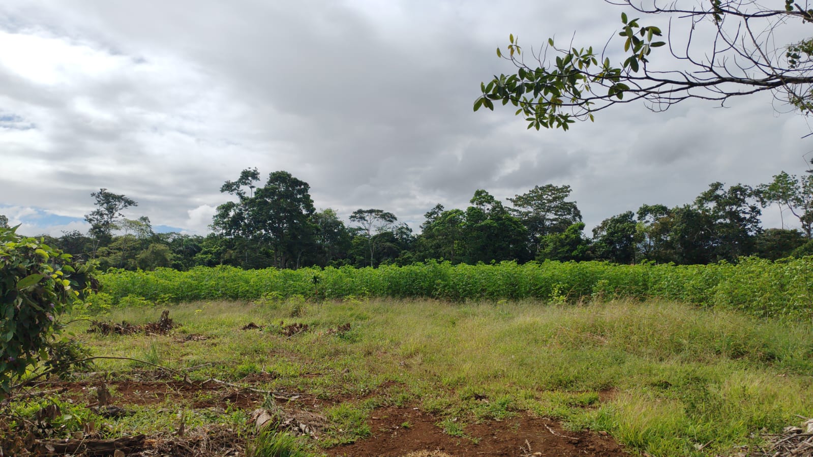 Price reduced !!! Development or Farm Land for Sale in Rio Cuarto | 4.6 Acres for 10 Homes | RE/MAX Occidente