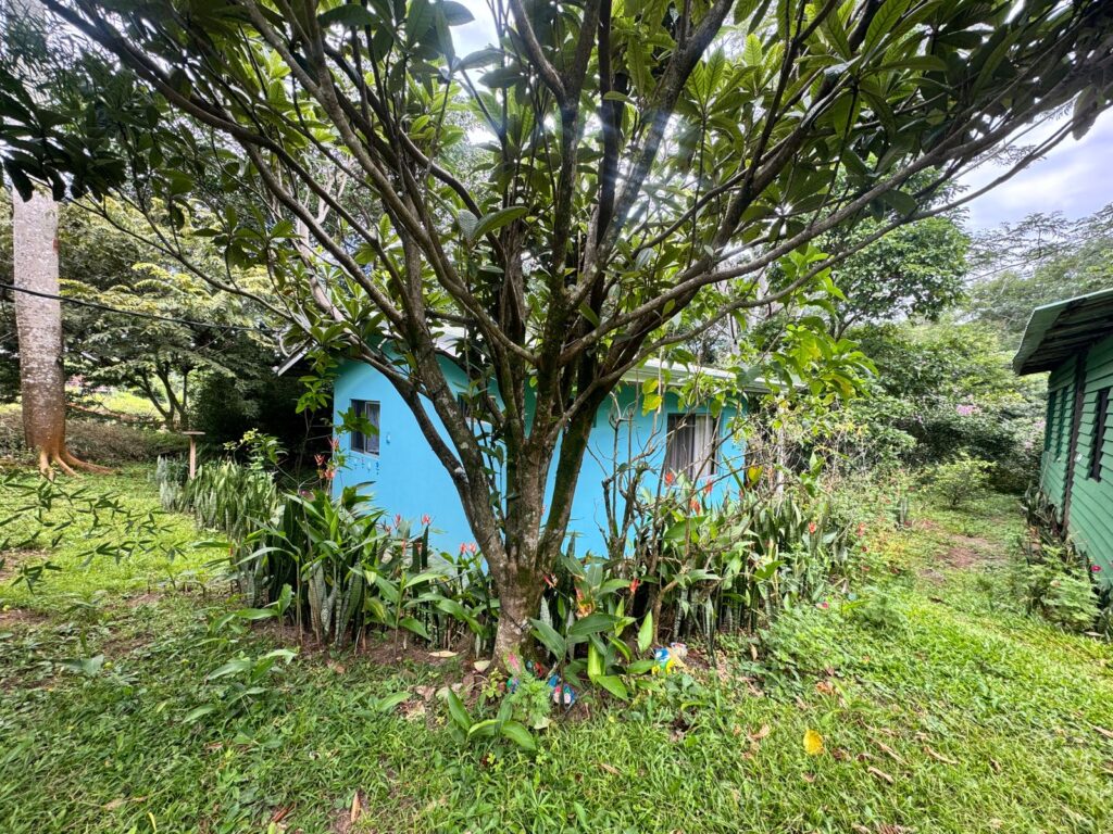 Bosque Privado en Venta | Río Jesús, San Ramón, Costa Rica