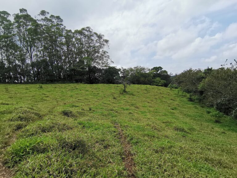 Farm for Sale in Cirrí de Naranjo – “Finca El Monte”, 13.25 Hectares with Waterfalls and Cypress Forest