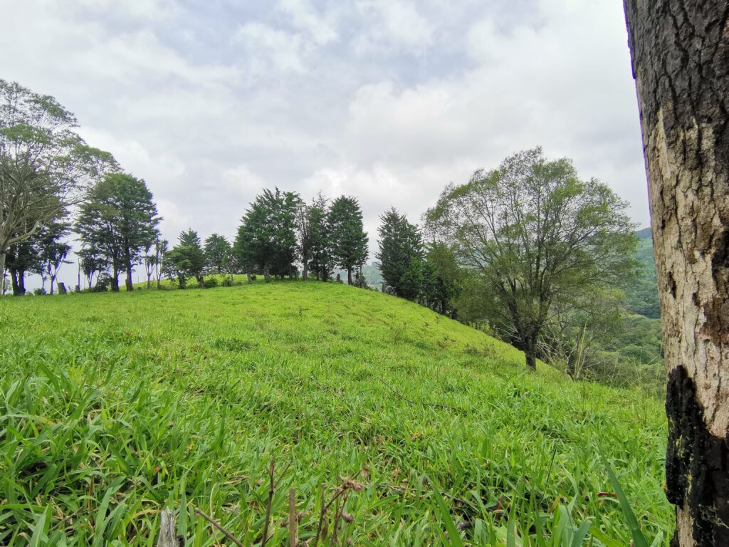 Farm for Sale in Cirrí de Naranjo – “Finca El Monte”, 13.25 Hectares with Waterfalls and Cypress Forest