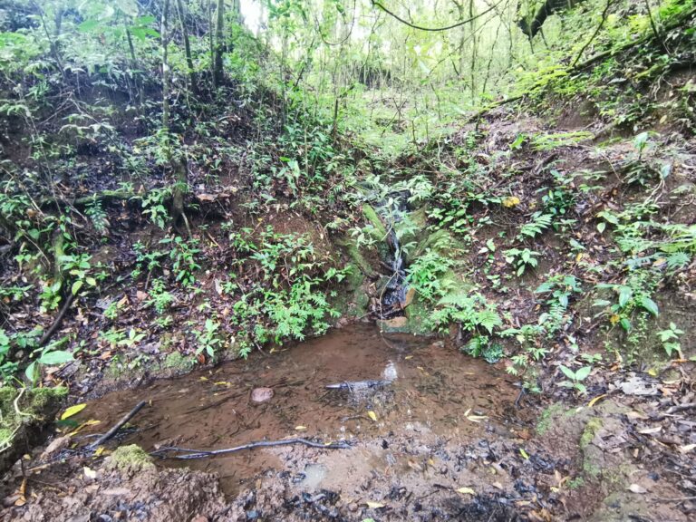 Farm for Sale in Cirrí de Naranjo – “Finca El Monte”, 13.25 Hectares with Waterfalls and Cypress Forest