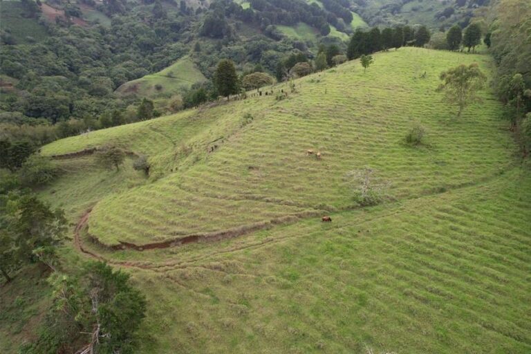 Farm for Sale in Cirrí de Naranjo – “Finca El Monte”, 13.25 Hectares with Waterfalls and Cypress Forest