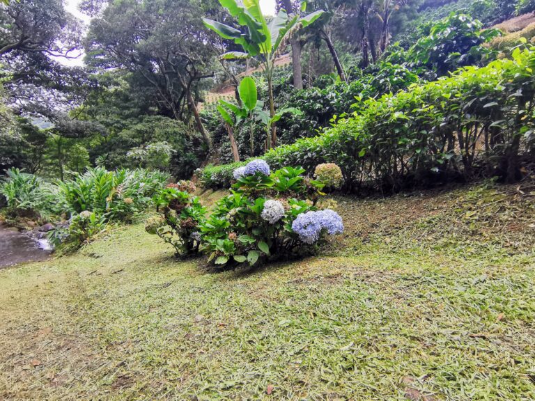 Property for Sale in Sarchí Norte.