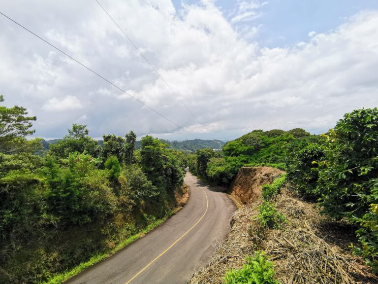 Property for Sale in Sarchí Norte.