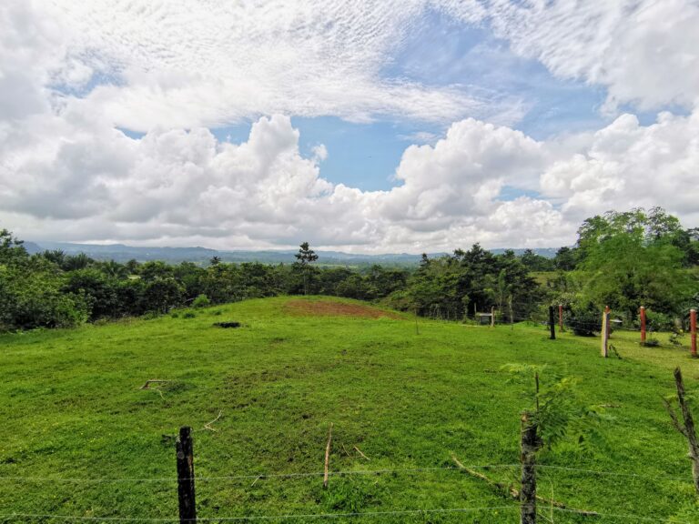 Land For Sale Ciudad Quesada