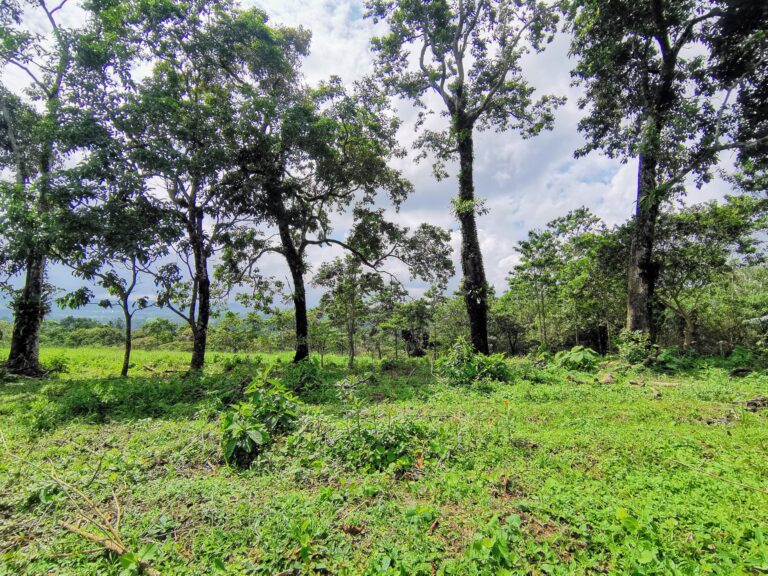 Land For Sale Ciudad Quesada