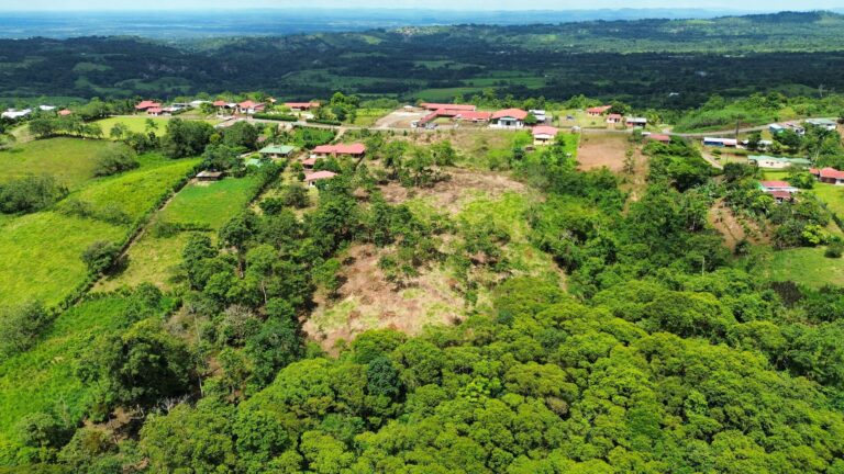 Land For Sale Ciudad Quesada