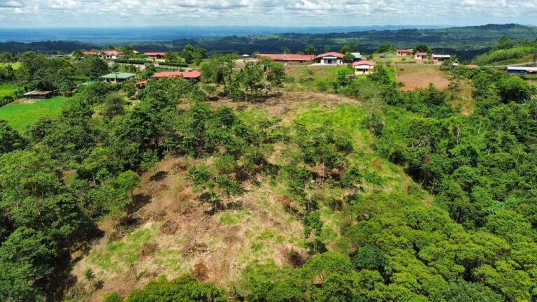 Land For Sale Ciudad Quesada