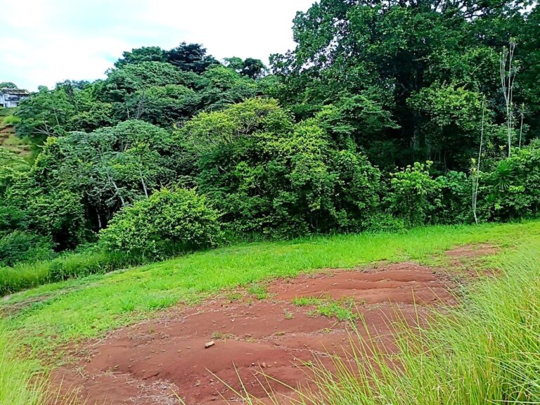 Lot for Sale Hacienda Natura, Naranjo